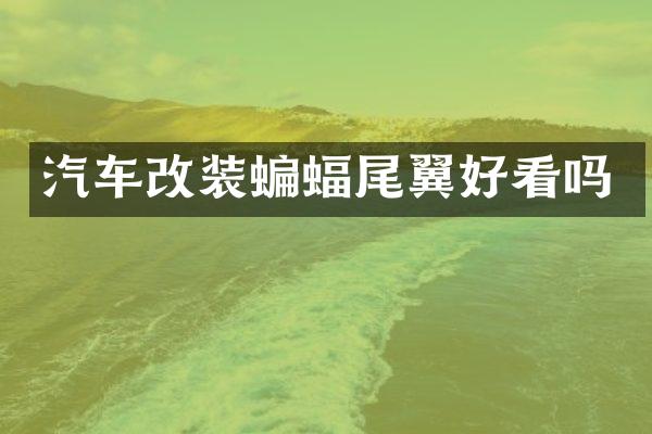 汽车改装蝙蝠尾翼好看吗