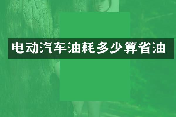 电动汽车油耗多少算省油