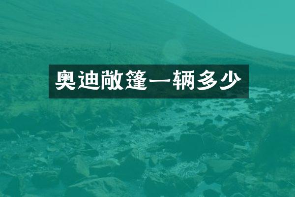 奥迪敞篷一辆多少
