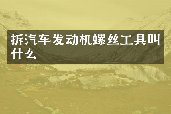拆汽车发动机螺丝工具叫什么
