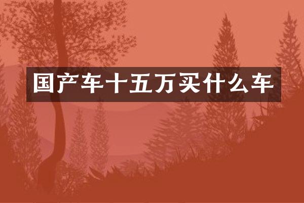 国产车十五万车
