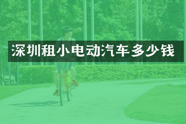 深圳租小电动汽车多少钱