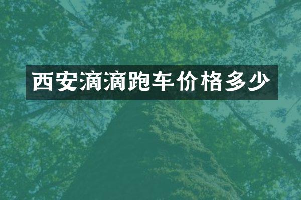 西安滴滴跑车价格多少