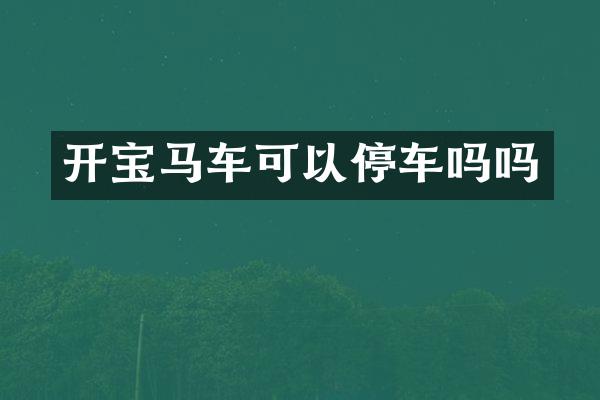 开宝马车可以停车吗吗