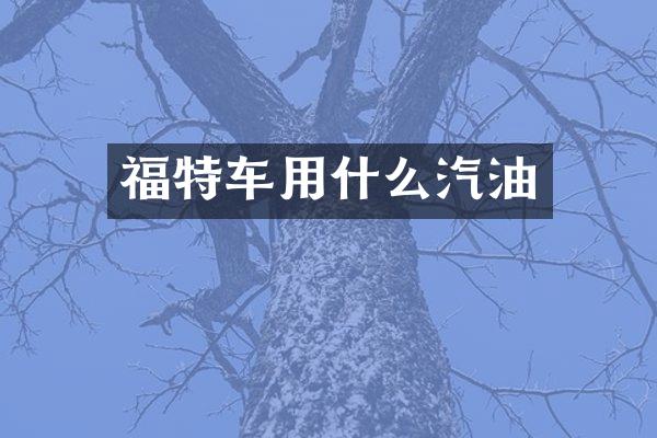 福特车用什么汽油