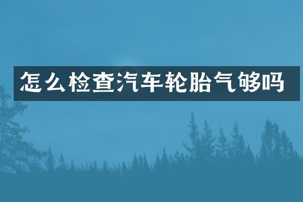 怎么检查汽车轮胎气够吗