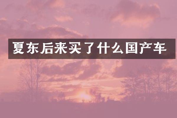 夏东后来买了什么国产车