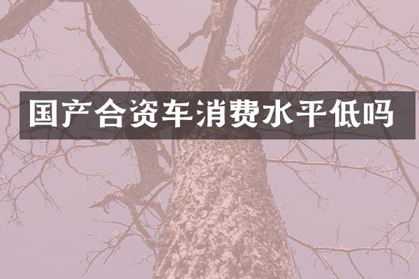 国产合资车消费水平低吗