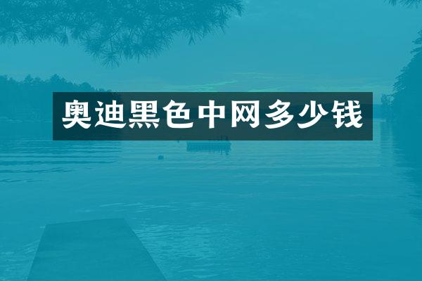 奥迪黑色中网多少钱