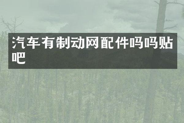 汽车有制动网配件吗吗贴吧