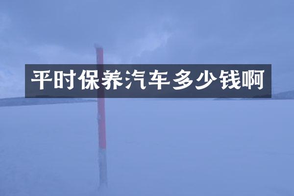 平时保养汽车多少钱啊