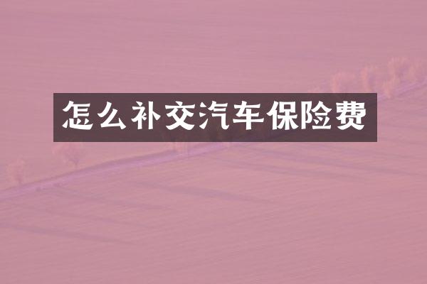 怎么补交汽车保险费