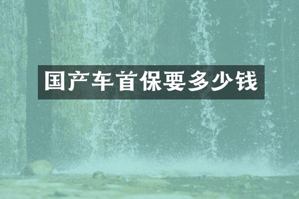 国产车首保要多少钱