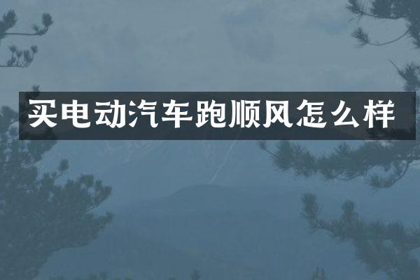 买电动汽车跑顺风怎么样