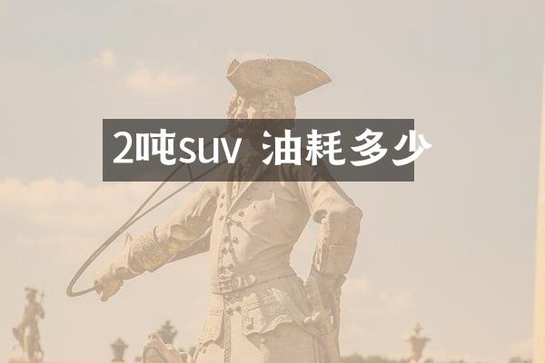 2吨suv 油耗多少
