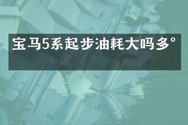 宝马5系起步油耗大吗多少