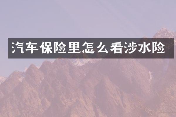 汽车保险里怎么看涉水险
