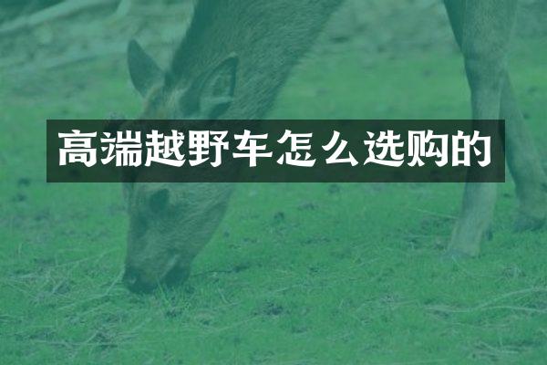高端越野车怎么选购的