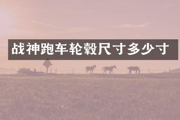 战神跑车轮毂尺寸多少寸