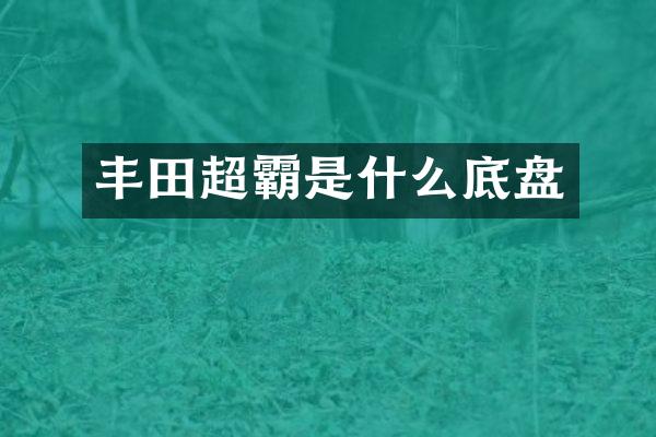 丰田超霸是什么底盘