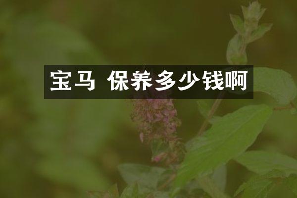 宝马 保养多少钱啊