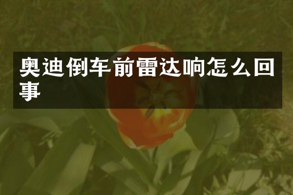 奥迪倒车前雷达响怎么回事