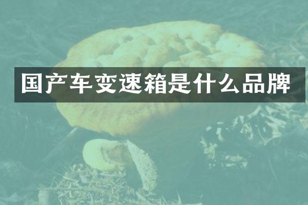 国产车变速箱是什么品牌