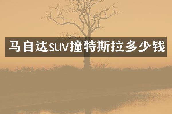 马自达suv撞特斯拉多少钱