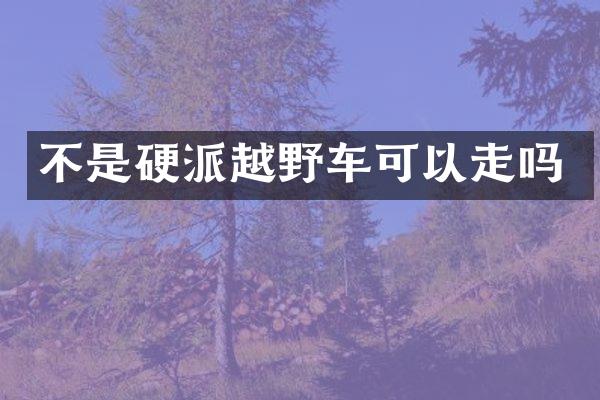 不是硬派越野车可以走吗