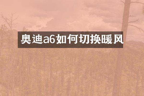 奥迪a6如何切换暖风