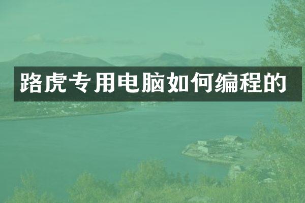 路虎专用电脑如何编程的