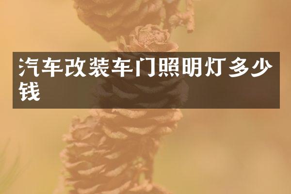 汽车改装车门照明灯多少钱