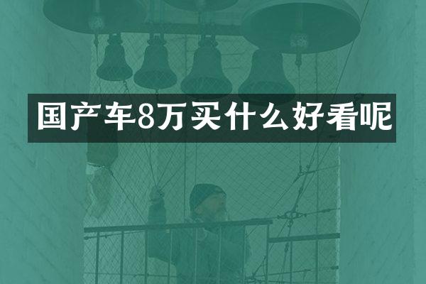 国产车8万买什么好看呢