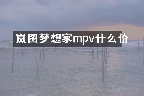 岚图梦想家mpv什么价