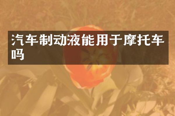 汽车制动液能用于摩托车吗