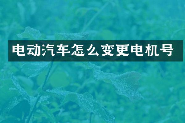 电动汽车怎么变更电机号