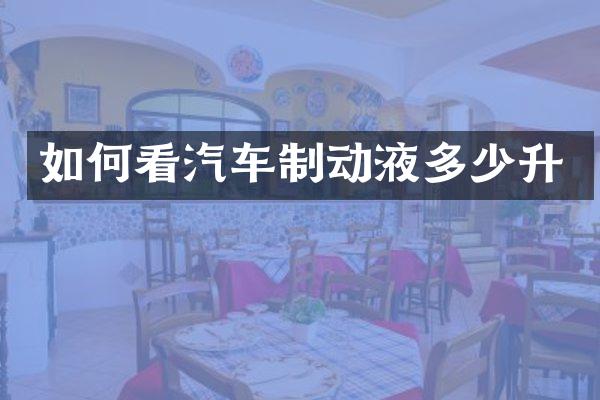 如何看汽车制动液多少升