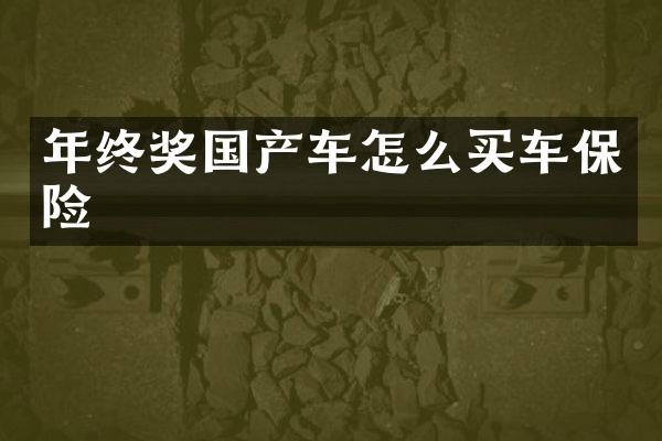 年终奖国产车怎么买车保险