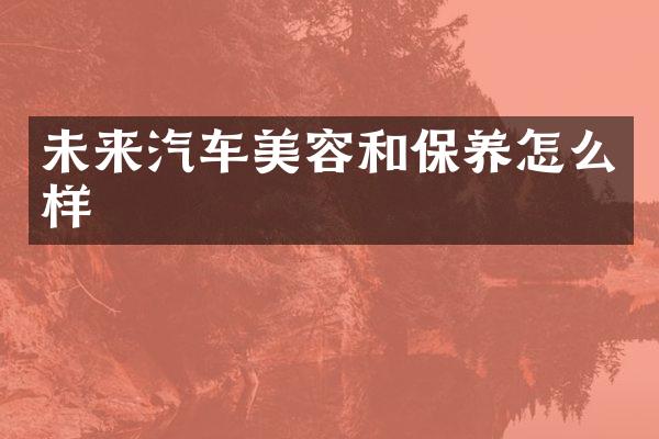 未来汽车美容和保养怎么样