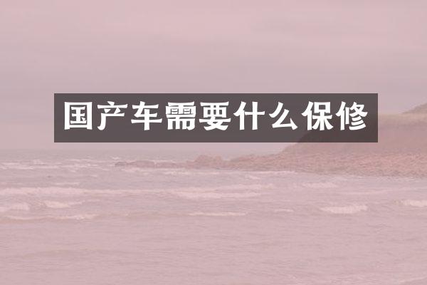 国产车需要什么保修
