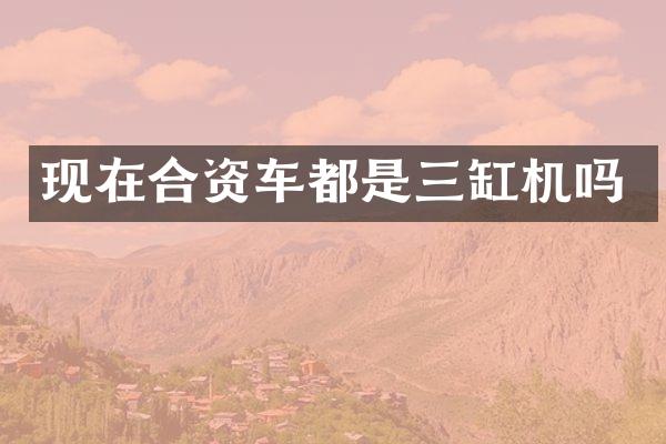 现在合资车都是三缸机吗