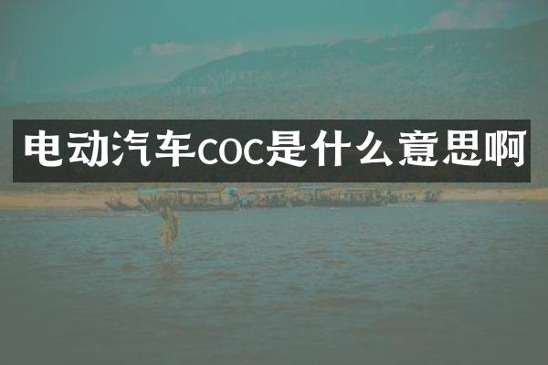 电动汽车coc是什么意思啊
