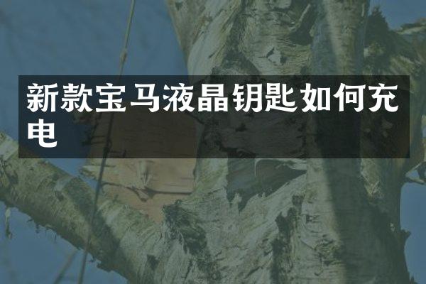 新款宝马液晶钥匙如何充电