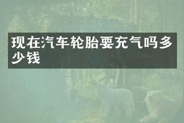 现在汽车轮胎要充气吗多少钱