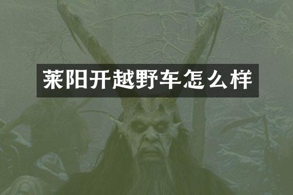 莱阳开越野车怎么样