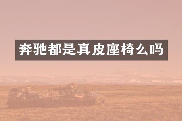 奔驰都是真皮座椅么吗