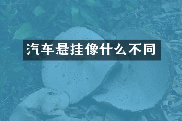 汽车悬挂像什么不同