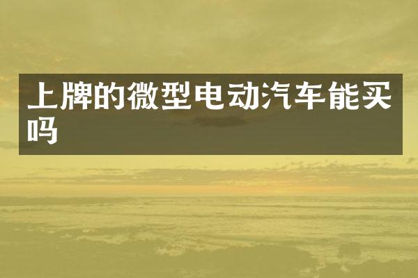 上牌的微型电动汽车能买吗