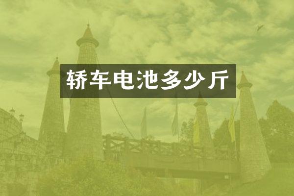 轿车电池多少斤