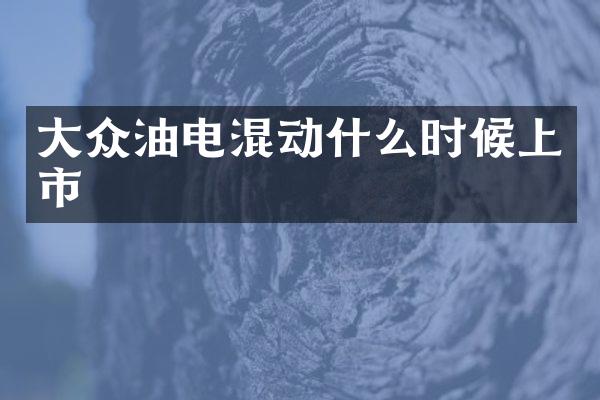 大众油电混动什么时候上市